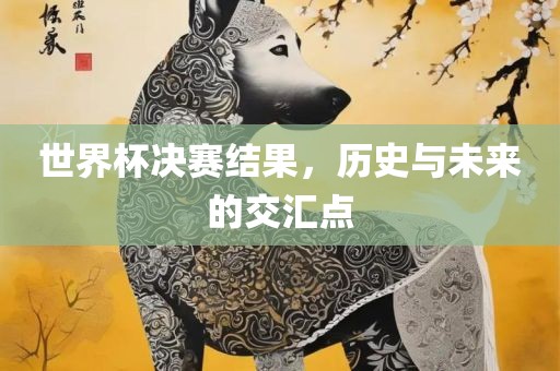 世界杯决赛结果，历史与未来的交汇点
