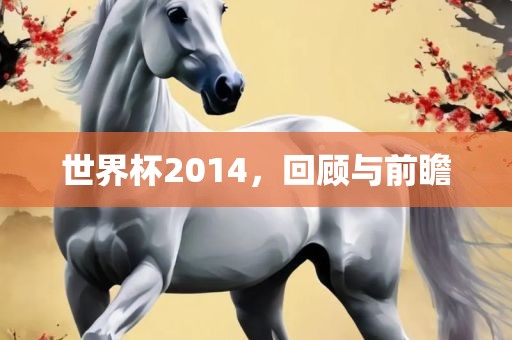 世界杯2014，回顾与前瞻吉安市靖泰电力工程有限公司