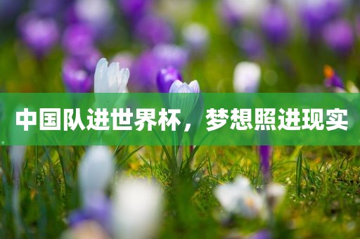 中国队进世界杯，梦想照进现实