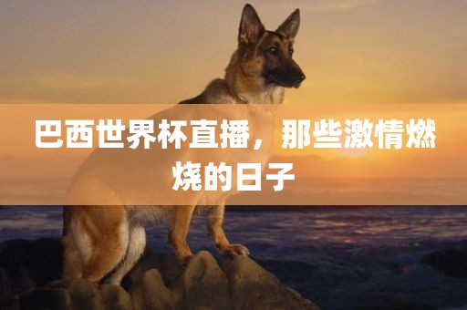 巴西世界杯直播，那些激情燃烧的日子