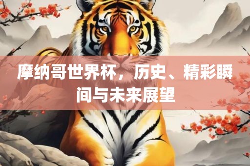摩纳哥世界杯，历史、精彩瞬间与未来展望