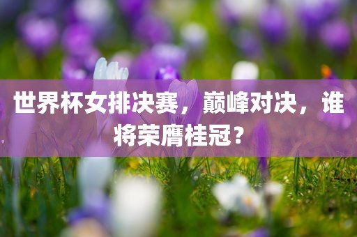世界杯女排决赛，巅峰对决，谁将荣膺桂冠？
