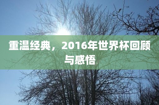 重温经典，2016年世界杯回顾与感悟