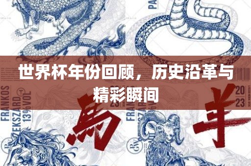 世界杯年份回顾，历史沿革与精彩瞬间