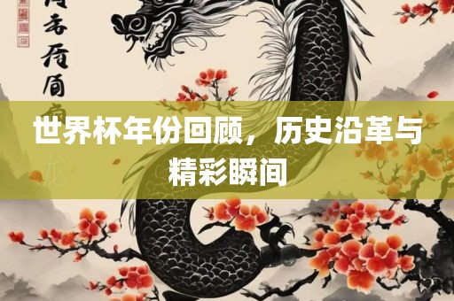 世界杯年份回顾，历史沿革与精彩瞬间