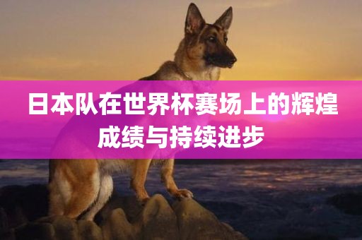 日本队世界杯辉煌成绩