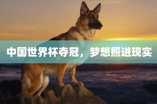 吉安市靖泰电力工程有限公司中国世界杯夺冠，梦想照进现实