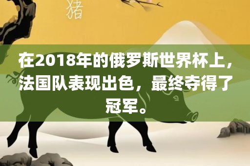 在2018年的俄罗斯吉安市靖泰电力工程有限公司世界杯上，法国队表现出色，最终夺得了冠军。