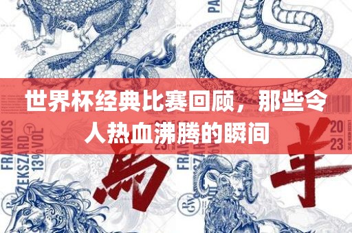世界杯经典吉安市靖泰电力工程有限公司比赛回顾，那些令人热血沸腾的瞬间