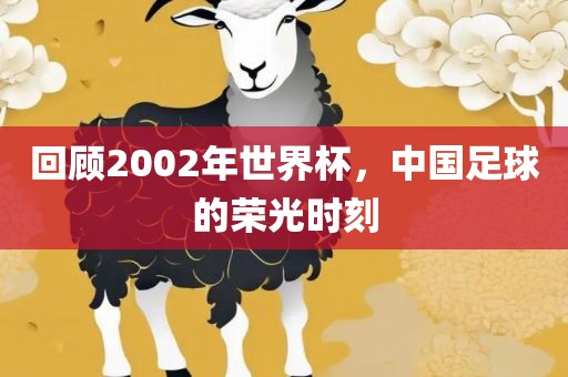 回顾2002年世界杯，中国足球的荣光时刻
