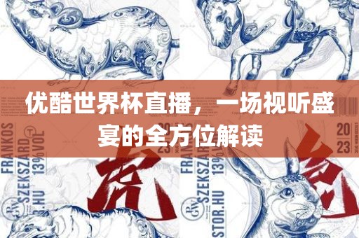 优酷世界杯直播，一场视听盛宴的全方位解读