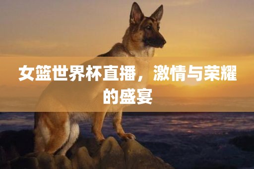 女篮世界杯直播，激情与荣耀的盛宴