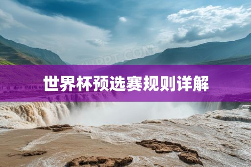 世界杯预选赛 第8页
