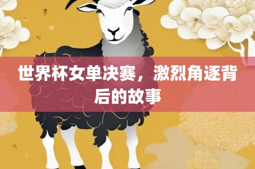 世界杯女单决赛，激烈角逐背后的故事吉安市靖泰电力工程有限公司