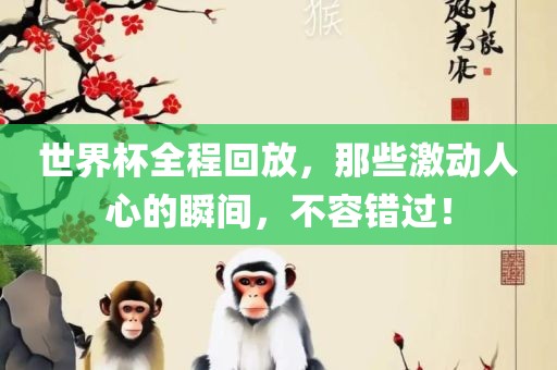 世界杯全程回放，那些激动人心的瞬间，不容错过！
