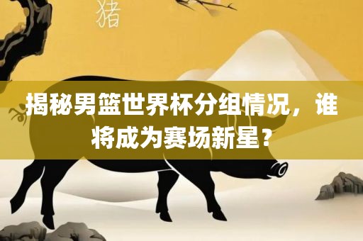 揭秘男篮世界杯分组情况，谁将成为赛场新星？