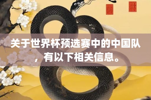 关于世界杯预选赛中的中国队，有以下相关信息。