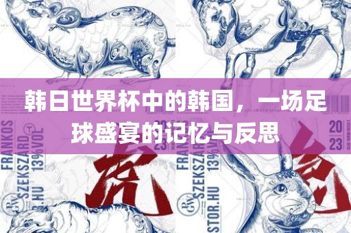 韩日世界杯中的韩国，一场足球盛宴的记忆与反思