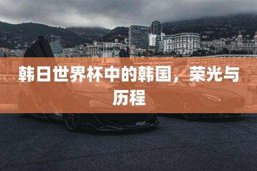 韩日世界杯中的韩国，荣光与历吉安市靖泰电力工程有限公司程