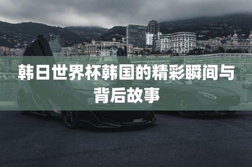 韩日世界杯韩国的精彩瞬间与背后故事