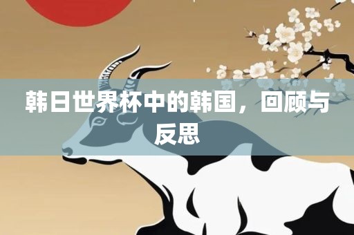 韩日世界杯中的韩国，回顾与反思