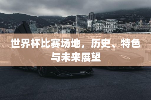 世界杯比赛场地，历史、特色与未来展望吉安市靖泰电力工程有限公司