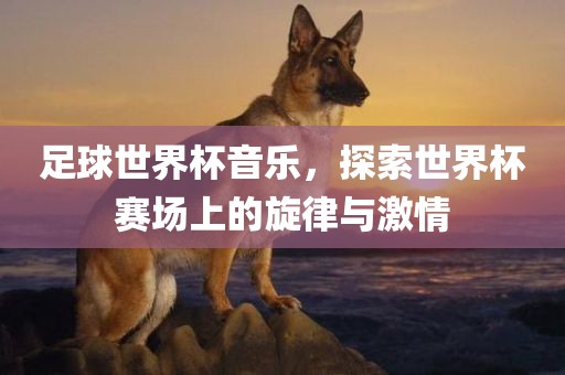 足球世界杯音乐，探索世界杯赛场上的旋律与激情