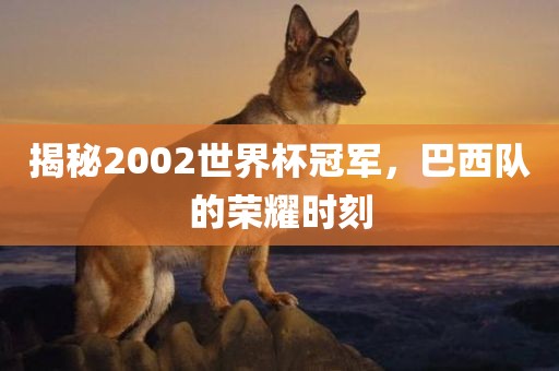 揭秘2002世界杯冠军，巴西队的荣耀时刻吉安市靖泰电力工程有限公司