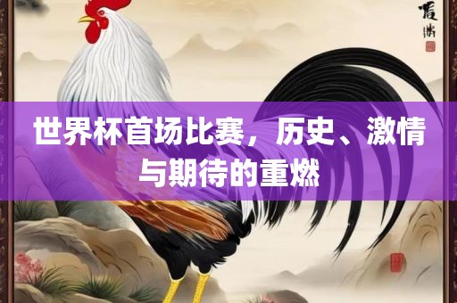 世界杯首场比赛，历史、激情与期待的重燃