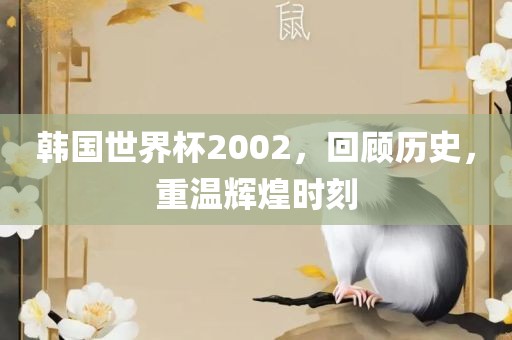 韩国世界杯2002，回顾历史，重温辉煌时刻
