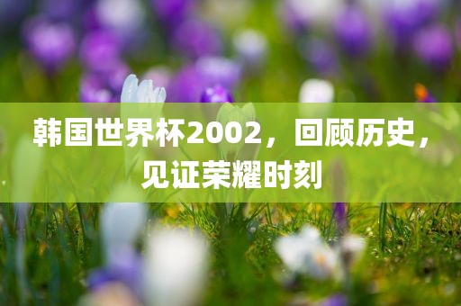 韩国世界杯2002，回顾历史，见证荣耀时刻