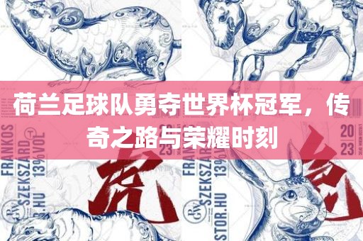 荷兰足球队勇夺世界杯冠军，传奇之路与荣耀时刻