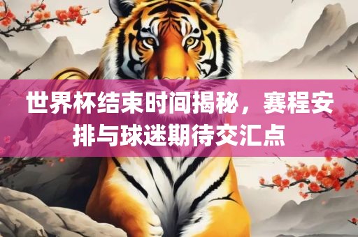 世界杯结束时间揭秘，赛程安排与球迷期待交汇点