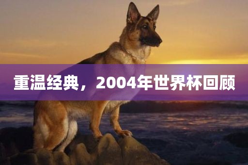 重温经典，2004年世界杯回顾