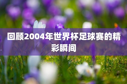 回顾2004年世界杯足球赛的精彩瞬间