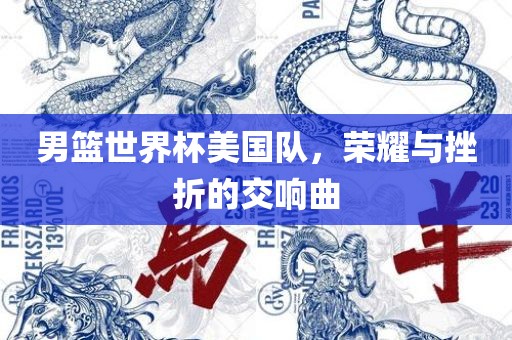 男篮世界杯美国队，荣耀与挫折的交响曲