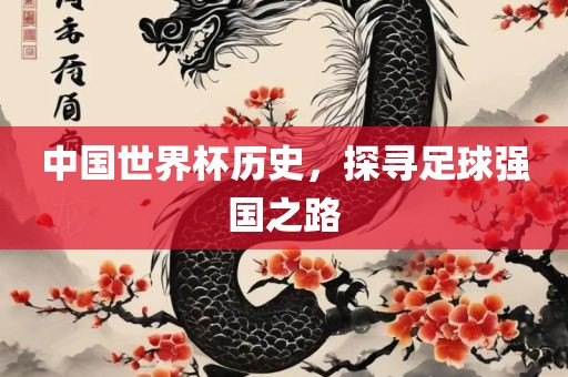 中国世界杯历史，探寻足球强国之路