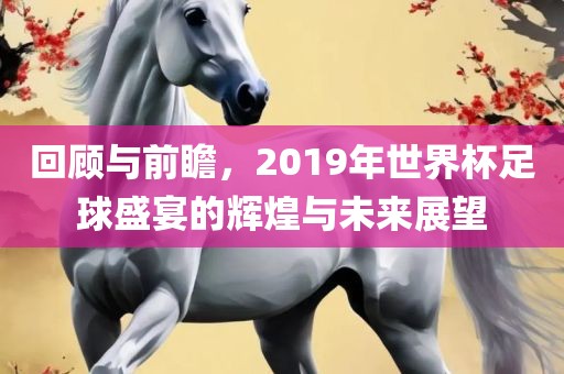 回顾与前瞻，2019年世界杯足球盛宴的辉煌与未来展望吉安市靖泰电力工程有限公司