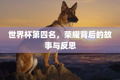 世界杯第四名，荣耀背后的故事与反思