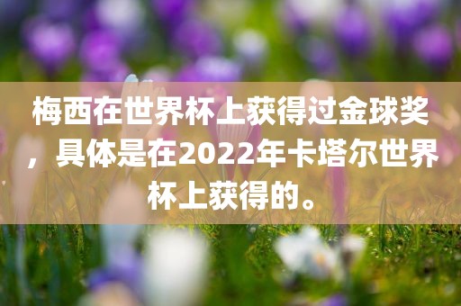 梅西在世界杯上获得过金球奖，具体是在2022年卡塔尔世界杯上获得的。