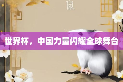 世界杯，中国力量闪耀全球舞台
