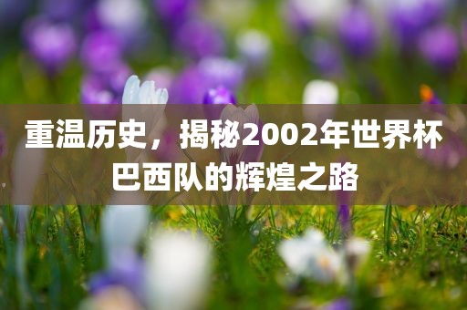 重温历史吉安市靖泰电力工程有限公司，揭秘2002年世界杯巴西队的辉煌之路