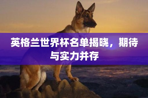 英格兰世界杯名单揭晓，期待与实力并存