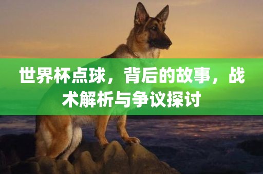 世界杯点球，背后的故事，战术解析与争议探讨吉安市靖泰电力工程有限公司