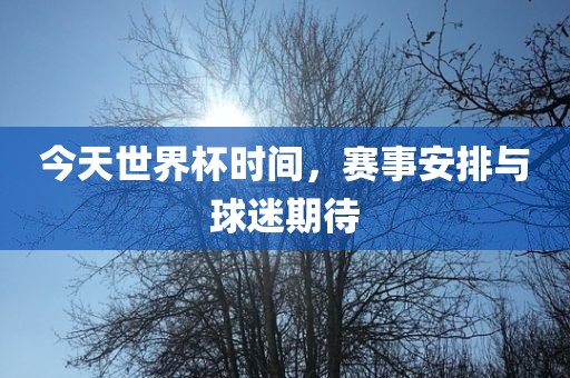 今天世界杯时间，赛事安排与球迷期待吉安市靖泰电力工程有限公司