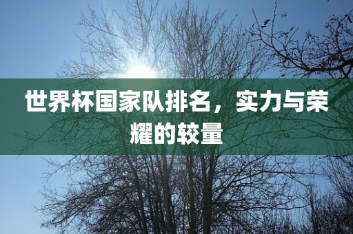 世界杯国家队排名，实力与荣耀的较量
