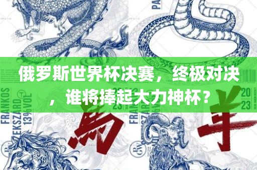 俄罗斯世界杯决赛，终极对决，谁将捧起大力神杯？