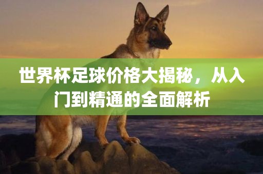 世界杯足球价格大揭秘，从入门到精通的全面解析吉安市靖泰电力工程有限公司