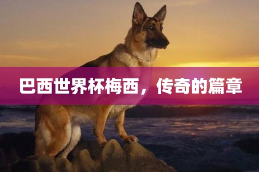 巴西世界杯梅西，传奇的篇章