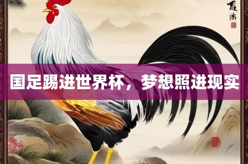 国足踢进世界杯，梦想照进现实